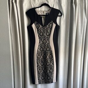 Jax Black and Cream Lace Panel Mini Dress